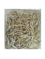 LATTERINI TURCHIA PP