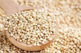 PAVONE SEMI DI QUINOA BS/1KG