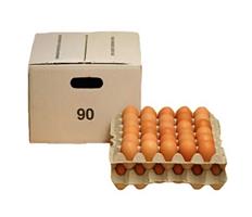 UOVA FRESCHE CT/90PZ