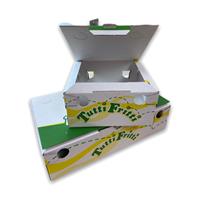 SCATOLE FRITTI 10X10 CF/100PZ