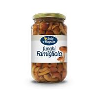 'O SOLE NAP.FUNGHI CHIODINI AL NAT.540GR/12PZ