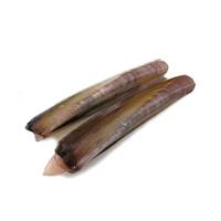 CANNOLLICCHI OCEANICI OLANDA CRTX4KG