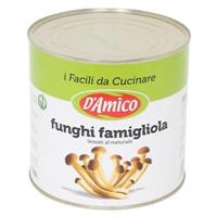 D'AMICO FUNGHI CHIODINI AL NAT.2.5KG P6